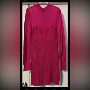 Anthropologie Sweater Dress Women XL Hot Pink BarbieCore Turtleneck Sheer Sexy
